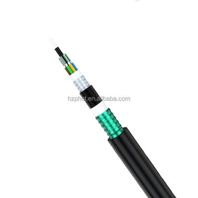 Ondergrondse rechtstreeks begraven FRP Strength Member Double Armored Fiber Optic Cable GYFTA53