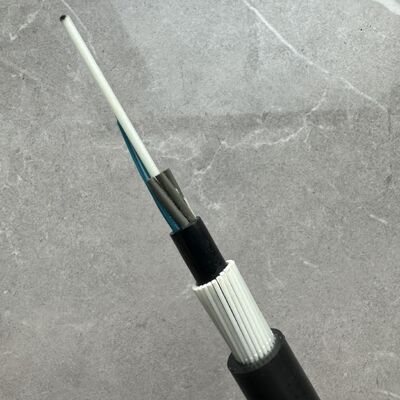 GYFTY83 Anti-Knaagdier Gepantserde FRP Sterkte Lid 12 24 48 Kern Glasvezelkabel