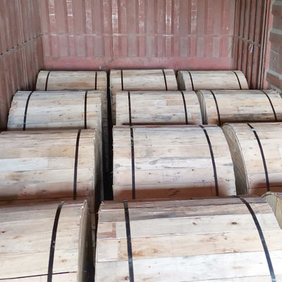 FTTH 12 de Vezel Optische Kabel Vastgelopen Losse Buis van de Kernadss Daling