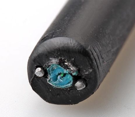 4 6 8 12 24 Core GYXTW Single-mode Outdoor Fiber Optic Cable Stalen band Gepantserde parallelle stalen draad
