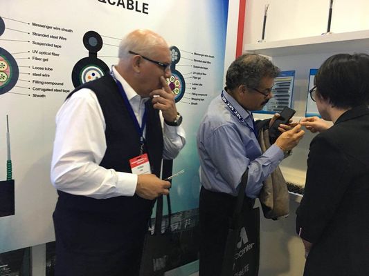 De Optische Vezel Ondergrondse Kabel van het Metaal niet Antiknaagdier GYFTY6363