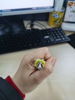 Niet Metaal Enige Optische de Kabel 6/12/24/48/96 Kern 100/200m Spanwijdte G652D van de Jasjeadss Vezel